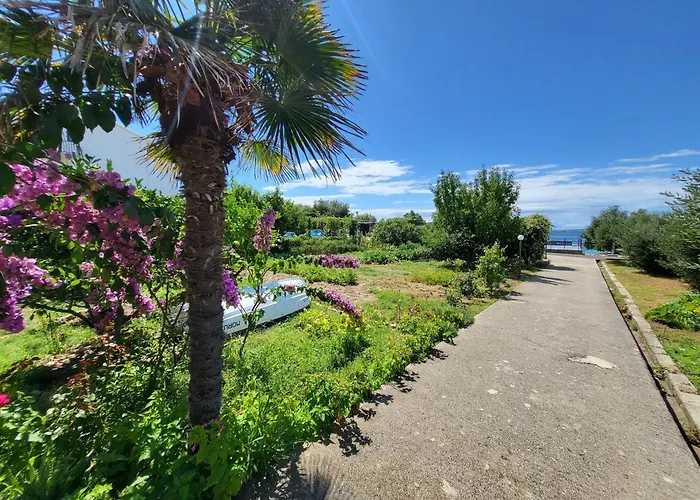 Pensión Single Banjol 2008d